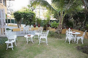 Jardin