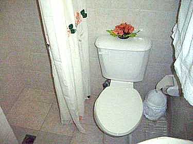 Ba&ntilde;o de uno de los apartamentos