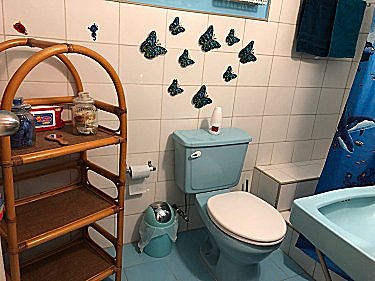Ba&ntilde;o del apartamento