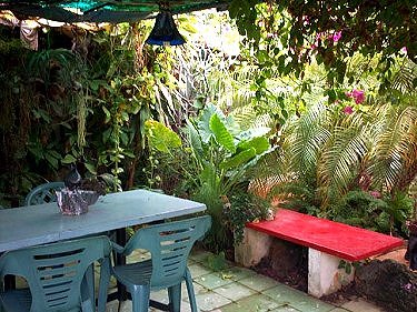 Jardin la Casa de Lida Martel