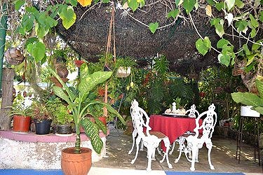 Otra zona del patio