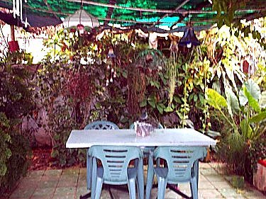 Otra zona de la terraza interior
