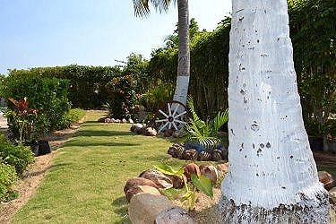 Patio, zona verde