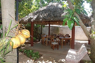 Ranchon o patio del Hostal, un cenador