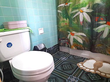 Ba&ntilde;o del apartamento