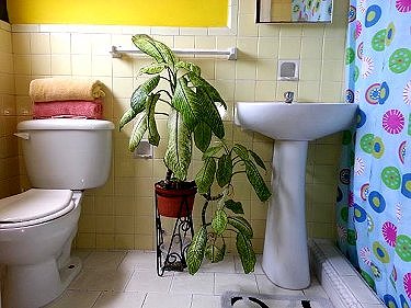 Magnifico ba&ntilde;o privado