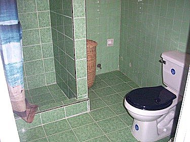 Ba&ntilde;o del apartamento