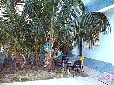 Patio de entrada con jardin
