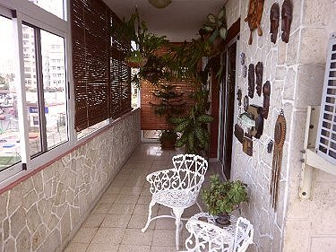 Terraza lateral