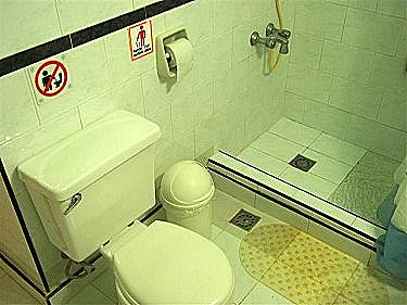Detalle del inodoro de uno de los tres ba&ntilde;os