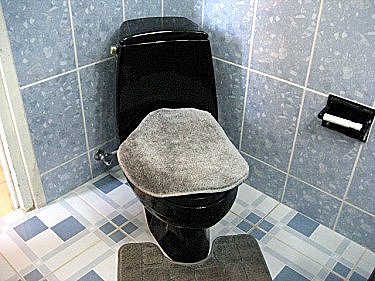 Ba&ntilde;o (inodoro)