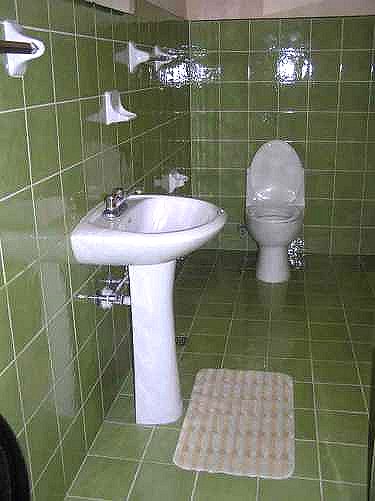 Ba&ntilde;o verde de la casa