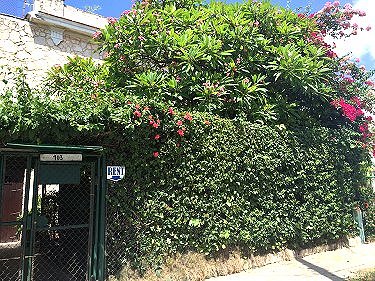 Exterior de la Casa de Ingrid 